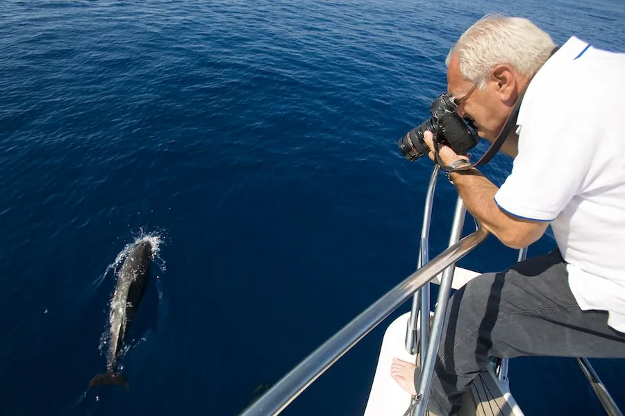 Carlo Borlenghi mentre fotografa un delfino a Capraia